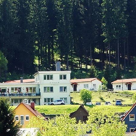 Pension Am Waldesrand Ilmenau Eksteriør billede