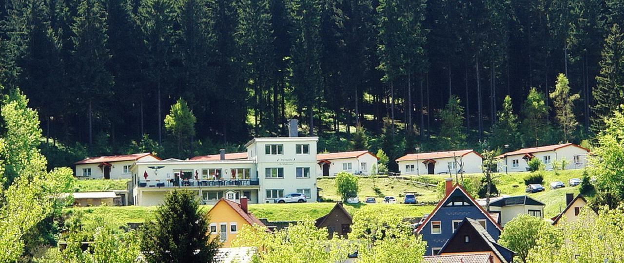 Pension Am Waldesrand Ilmenau Eksteriør billede